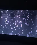 サンシャイン水族館に投稿された画像（2024/3/31）