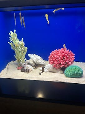 サンシャイン水族館に投稿された画像（2024/3/31）