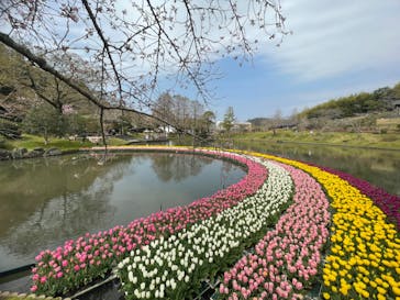 浜名湖花博2024に投稿された画像（2024/3/31）