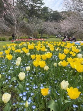 浜名湖花博2024に投稿された画像（2024/3/31）