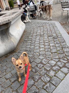 野外民族博物館 リトルワールドに投稿された画像（2024/3/31）