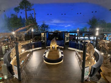 福井県立恐竜博物館に投稿された画像（2024/3/31）