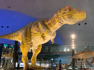 福井県立恐竜博物館に投稿された画像（2024/3/31）