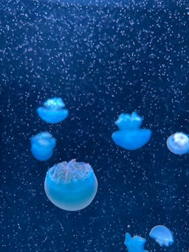 AOAO SAPPOROに投稿された画像（2024/3/31）