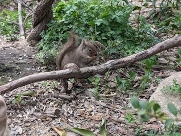 神戸どうぶつ王国に投稿された画像（2024/3/31）