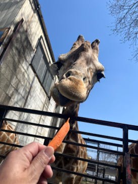 宇都宮動物園に投稿された画像（2024/3/31）