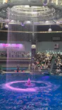 マクセル アクアパーク品川に投稿された画像（2024/3/31）