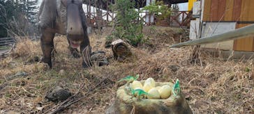 福井県立恐竜博物館に投稿された画像（2024/3/31）