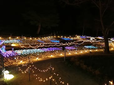 修善寺虹の郷に投稿された画像（2024/3/31）