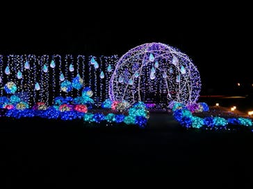 修善寺虹の郷に投稿された画像（2024/3/31）