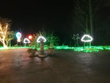 修善寺虹の郷に投稿された画像（2024/3/31）