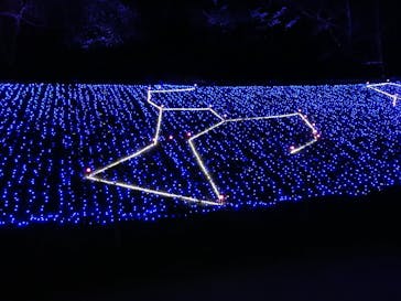 修善寺虹の郷に投稿された画像（2024/3/31）