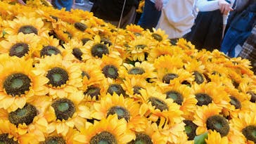 ゴッホ・アライブに投稿された画像（2024/3/31）