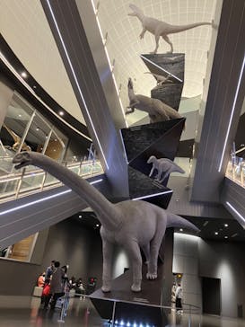 福井県立恐竜博物館に投稿された画像（2024/3/31）