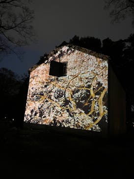 六義園に投稿された画像（2024/3/31）