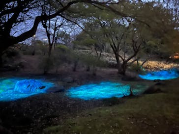 六義園に投稿された画像（2024/3/31）