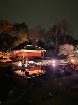 NAKED meets 二条城 2025 観月に投稿された画像（2024/3/31）