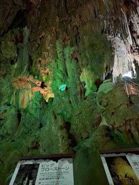 あぶくま洞に投稿された画像（2024/3/31）