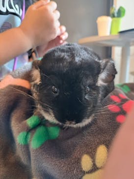 アニマルカフェフレカ　福島店に投稿された画像（2024/3/31）