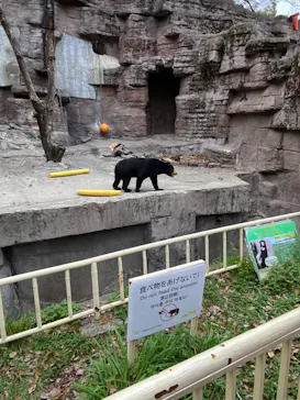 天王寺動物園に投稿された画像（2024/3/31）