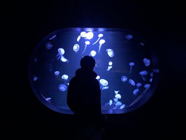 AOAO SAPPOROに投稿された画像（2024/3/31）