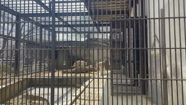 宇都宮動物園に投稿された画像（2024/3/31）