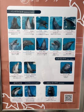 マリンワールド海の中道に投稿された画像（2024/3/31）