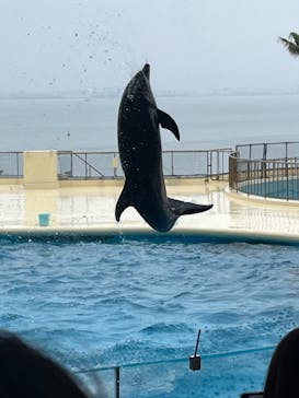 マリンワールド海の中道に投稿された画像（2024/3/31）
