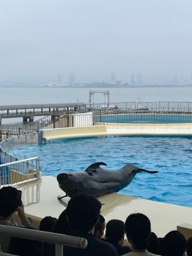 マリンワールド海の中道に投稿された画像（2024/3/31）