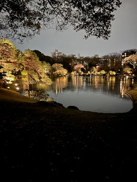 六義園に投稿された画像（2024/3/31）