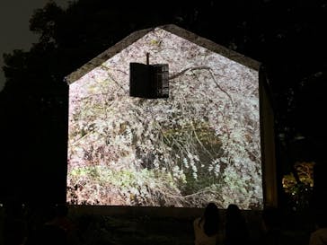 六義園に投稿された画像（2024/3/31）