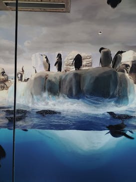 名古屋港水族館に投稿された画像（2024/3/31）