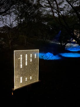 六義園に投稿された画像（2024/3/31）