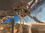 福井県立恐竜博物館に投稿された画像（2024/3/31）