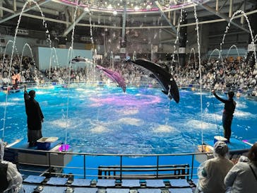 マクセル アクアパーク品川に投稿された画像（2024/3/31）