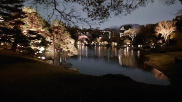 六義園に投稿された画像（2024/3/31）