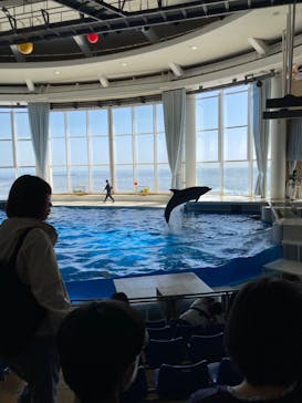 アクアワールド茨城県大洗水族館に投稿された画像（2024/3/31）