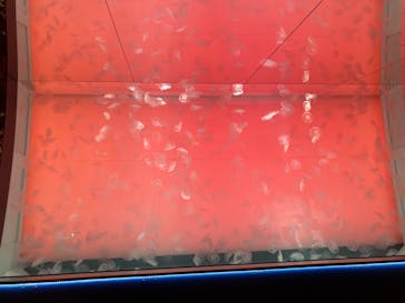 アクアワールド茨城県大洗水族館に投稿された画像（2024/3/31）