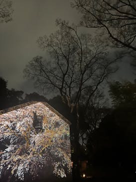 六義園に投稿された画像（2024/3/31）