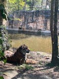 よこはま動物園ズーラシアに投稿された画像（2024/3/31）