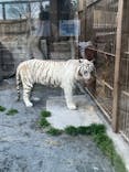 東武動物公園に投稿された画像（2024/3/31）