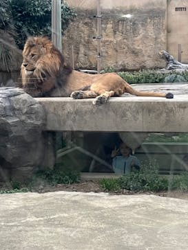 東武動物公園に投稿された画像（2024/3/31）