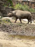 天王寺動物園に投稿された画像（2024/3/31）