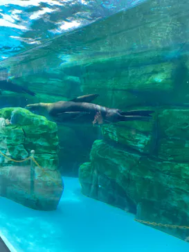 天王寺動物園に投稿された画像（2024/3/31）