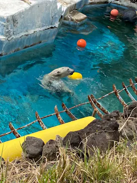 天王寺動物園に投稿された画像（2024/3/31）