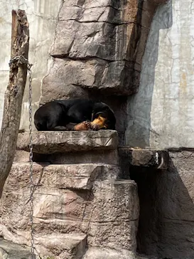 天王寺動物園に投稿された画像（2024/3/31）