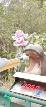 トミカ博 in OSAKA事務局に投稿された画像（2024/3/31）