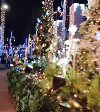 ひらかたパークに投稿された画像（2024/3/31）