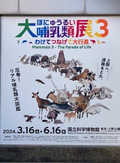 特別展「大哺乳類展３－わけてつなげて大行進」／口コミ一覧｜アソビュー！