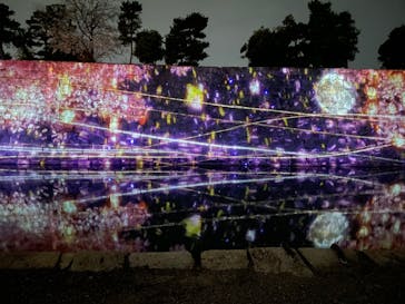 NAKED meets 二条城 2025 観月に投稿された画像（2024/3/31）